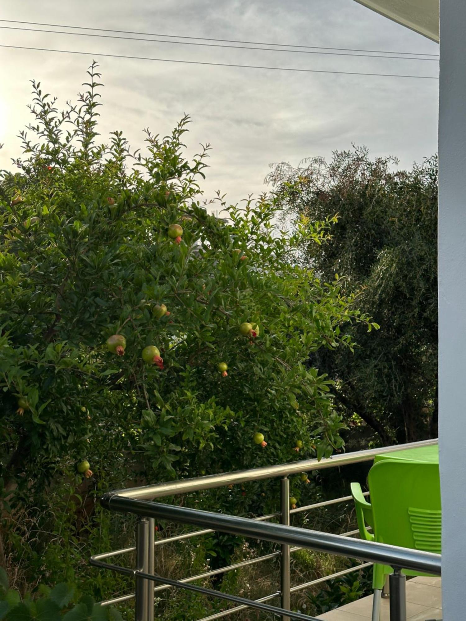 Anxhi Διαμέρισμα Εξαμίλιο Εξωτερικό φωτογραφία