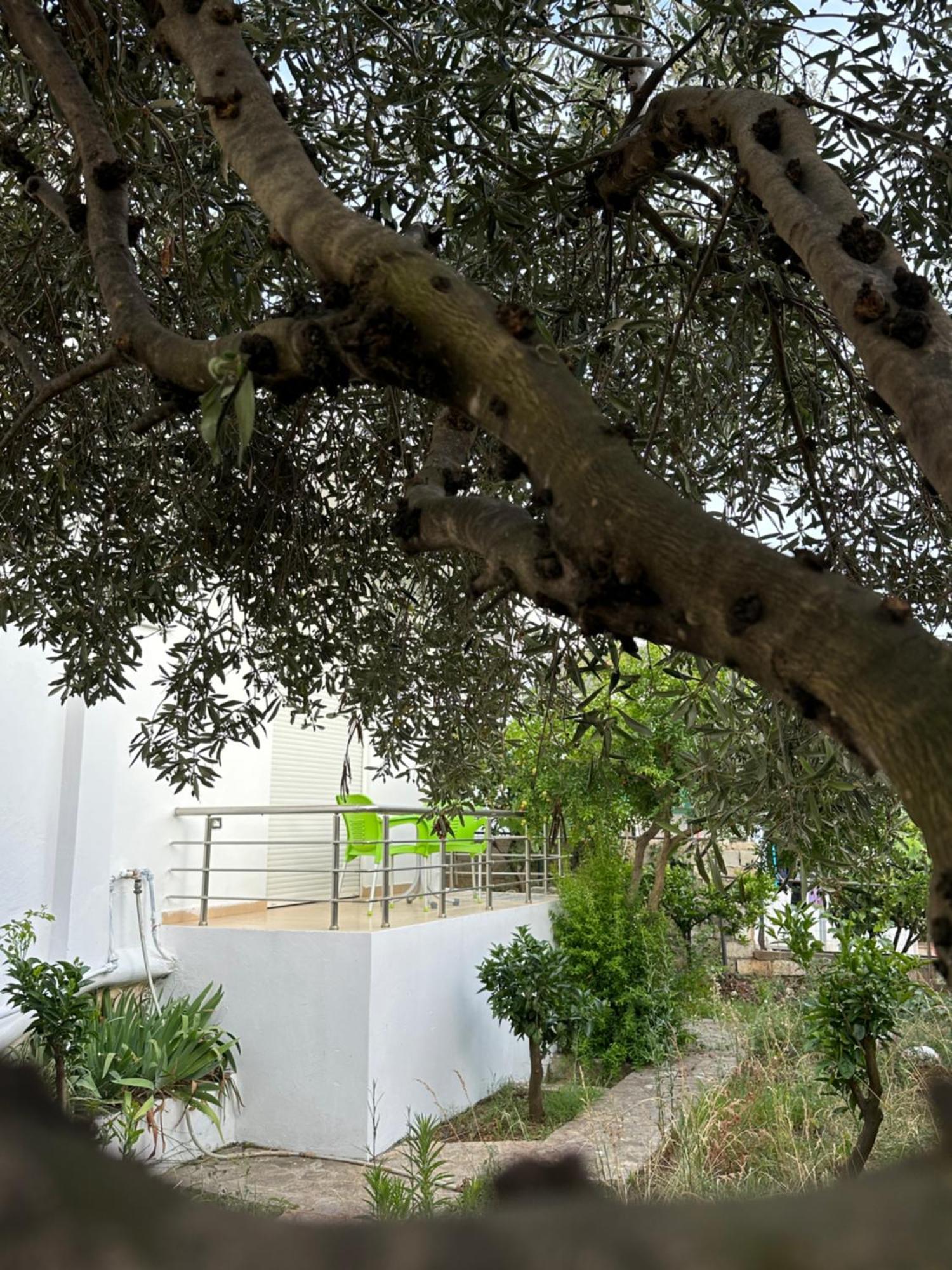 Anxhi Διαμέρισμα Εξαμίλιο Εξωτερικό φωτογραφία